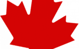 Boys Boys Boys Masculinity levels